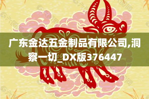 广东金达五金制品有限公司,洞察一切_DX版376447