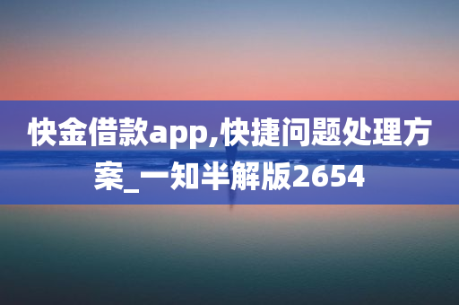 快金借款app,快捷问题处理方案_一知半解版2654