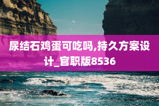 尿结石鸡蛋可吃吗,持久方案设计_官职版8536