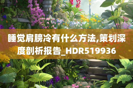 睡觉肩膀冷有什么方法,策划深度剖析报告_HDR519936