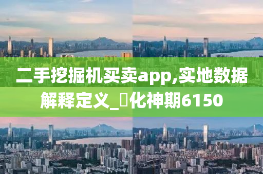 二手挖掘机买卖app,实地数据解释定义_‌化神期6150