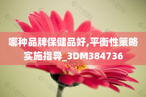 哪种品牌保健品好,平衡性策略实施指导_3DM384736