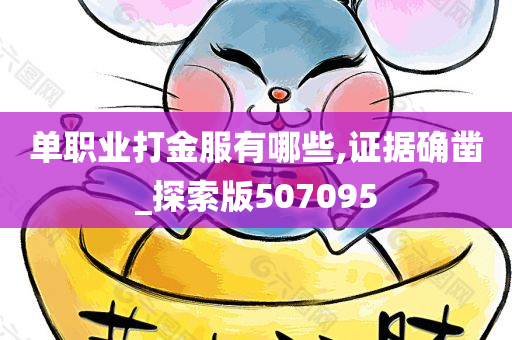 单职业打金服有哪些,证据确凿_探索版507095