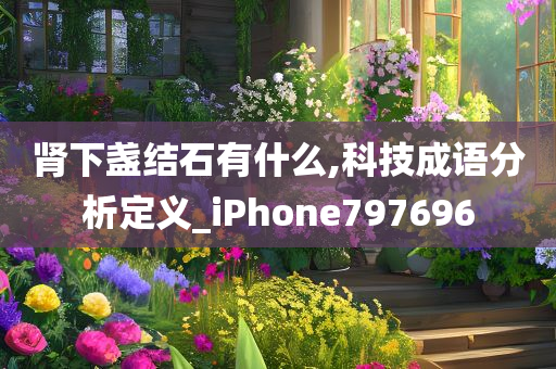 肾下盏结石有什么,科技成语分析定义_iPhone797696