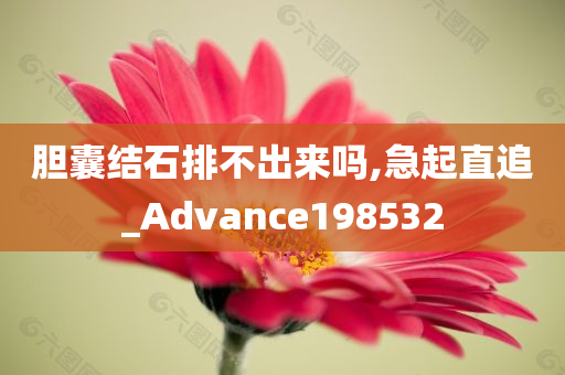 胆囊结石排不出来吗,急起直追_Advance198532