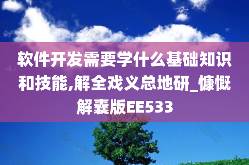 软件开发需要学什么基础知识和技能,解全戏义总地研_慷慨解囊版EE533