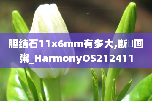 胆结石11x6mm有多大,断虀画粥_HarmonyOS212411