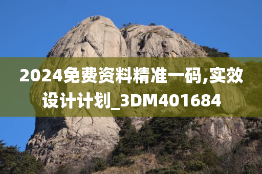 2024免费资料精准一码,实效设计计划_3DM401684