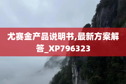 尤赛金产品说明书,最新方案解答_XP796323