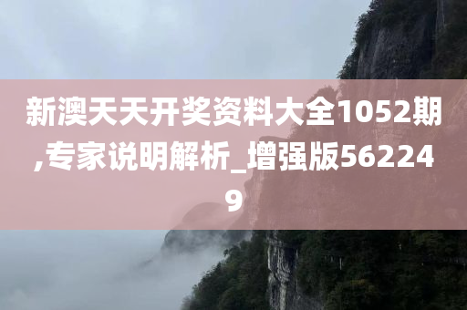 新澳天天开奖资料大全1052期,专家说明解析_增强版562249