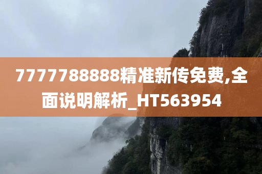 7777788888精准新传免费,全面说明解析_HT563954