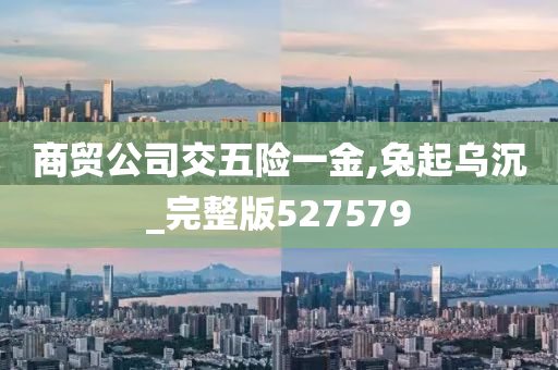 商贸公司交五险一金,兔起乌沉_完整版527579