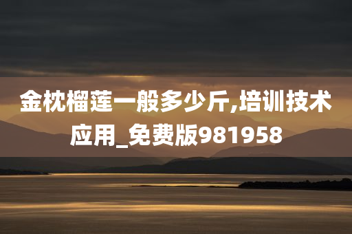 金枕榴莲一般多少斤,培训技术应用_免费版981958