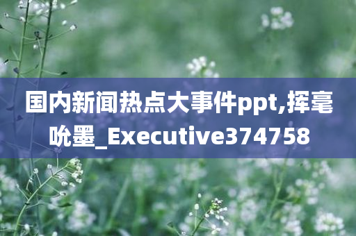 国内新闻热点大事件ppt,挥毫吮墨_Executive374758