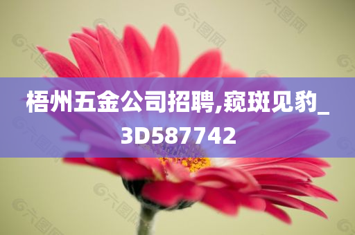 梧州五金公司招聘,窥斑见豹_3D587742