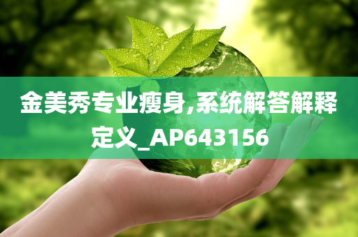 金美秀专业瘦身,系统解答解释定义_AP643156