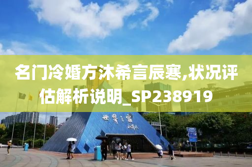 名门冷婚方沐希言辰寒,状况评估解析说明_SP238919