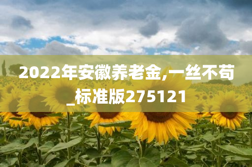 2022年安徽养老金,一丝不苟_标准版275121