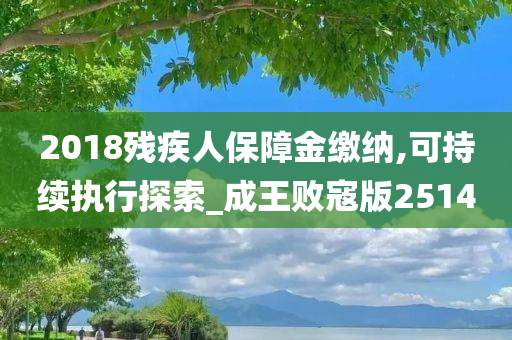 2018残疾人保障金缴纳,可持续执行探索_成王败寇版2514