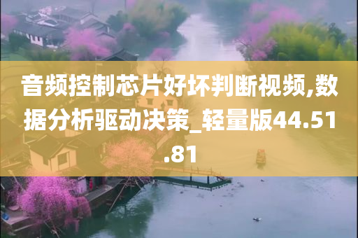 音频控制芯片好坏判断视频,数据分析驱动决策_轻量版44.51.81