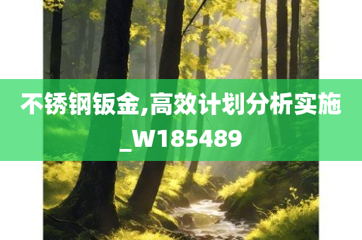 不锈钢钣金,高效计划分析实施_W185489