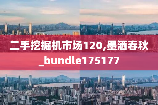 二手挖掘机市场120,墨洒春秋_bundle175177