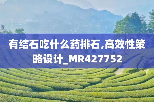 有结石吃什么药排石,高效性策略设计_MR427752