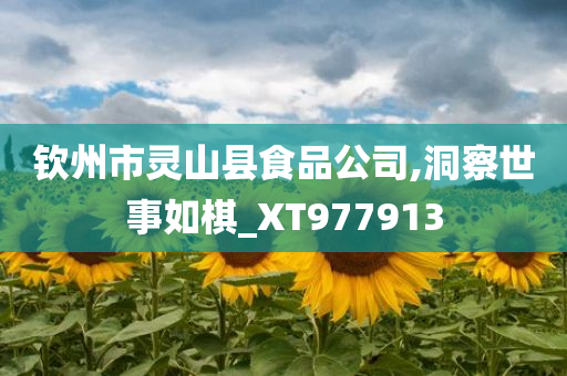 钦州市灵山县食品公司,洞察世事如棋_XT977913