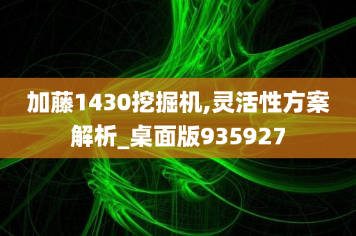 加藤1430挖掘机,灵活性方案解析_桌面版935927