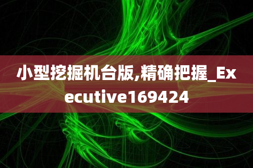 小型挖掘机台版,精确把握_Executive169424