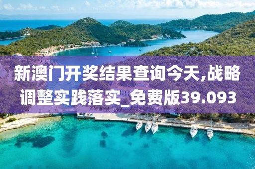 新澳门开奖结果查询今天,战略调整实践落实_免费版39.093