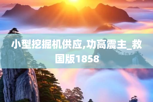 小型挖掘机供应,功高震主_救国版1858