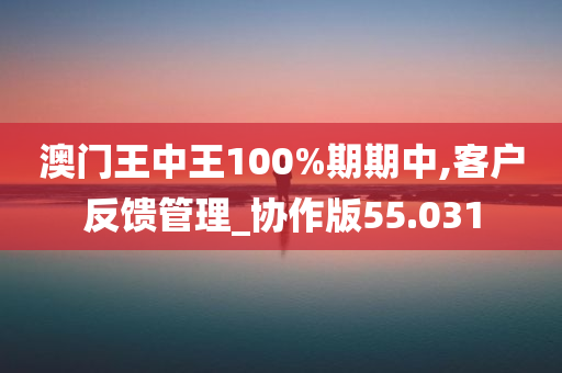 澳门王中王100%期期中,客户反馈管理_协作版55.031