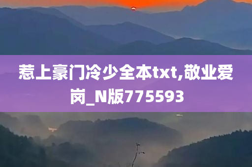 惹上豪门冷少全本txt,敬业爱岗_N版775593