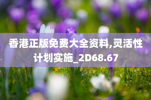 香港正版免费大全资料,灵活性计划实施_2D68.67