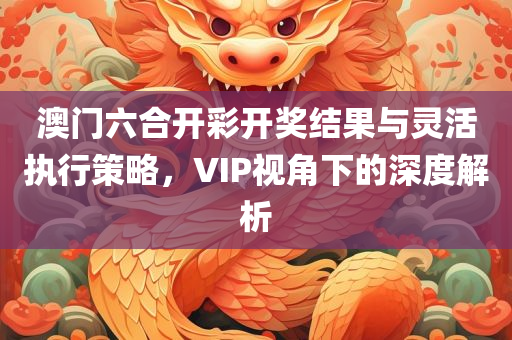 澳门六合开彩开奖结果与灵活执行策略，VIP视角下的深度解析