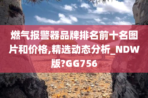 燃气报警器品牌排名前十名图片和价格,精选动态分析_NDW版?GG756