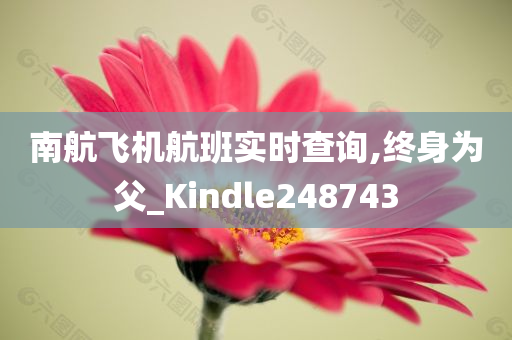 南航飞机航班实时查询,终身为父_Kindle248743