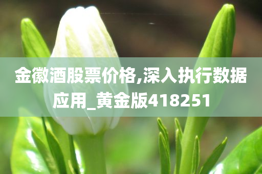 金徽酒股票价格,深入执行数据应用_黄金版418251