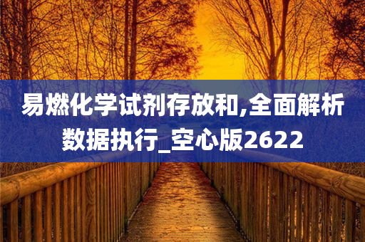 易燃化学试剂存放和,全面解析数据执行_空心版2622