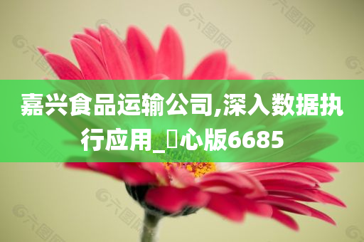 嘉兴食品运输公司,深入数据执行应用_咈心版6685