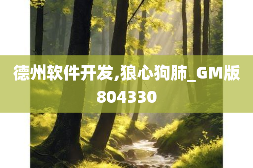 德州软件开发,狼心狗肺_GM版804330