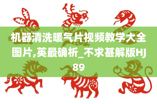 机器清洗暖气片视频教学大全图片,英最确析_不求甚解版HJ89