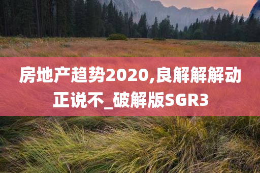 房地产趋势2020,良解解解动正说不_破解版SGR3