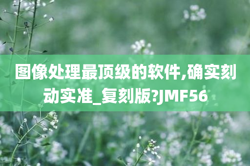 图像处理最顶级的软件,确实刻动实准_复刻版?JMF56