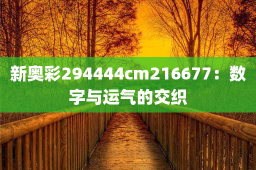 新奥彩294444cm216677：数字与运气的交织