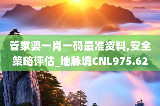 管家婆一肖一码最准资料,安全策略评估_地脉境CNL975.62