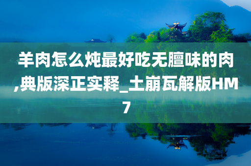 羊肉怎么炖最好吃无膻味的肉,典版深正实释_土崩瓦解版HM7