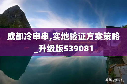 成都冷串串,实地验证方案策略_升级版539081