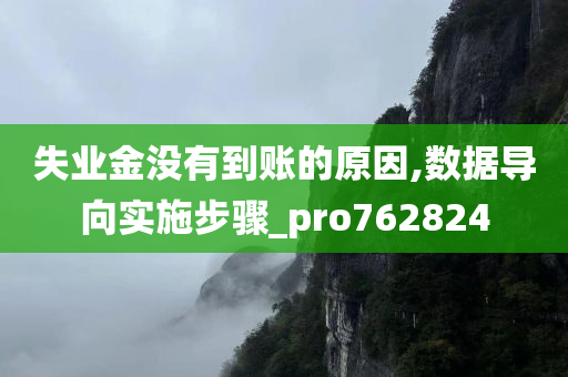 失业金没有到账的原因,数据导向实施步骤_pro762824